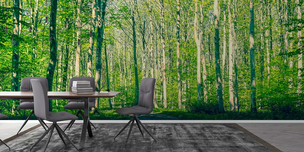 Orman Yolu Duvar Kağıdı 12941