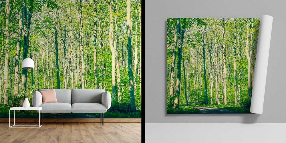 Orman Yolu Duvar Kağıdı 12941