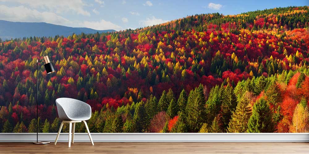 Sonbahar Ormanı Duvar Kağıdı 12947