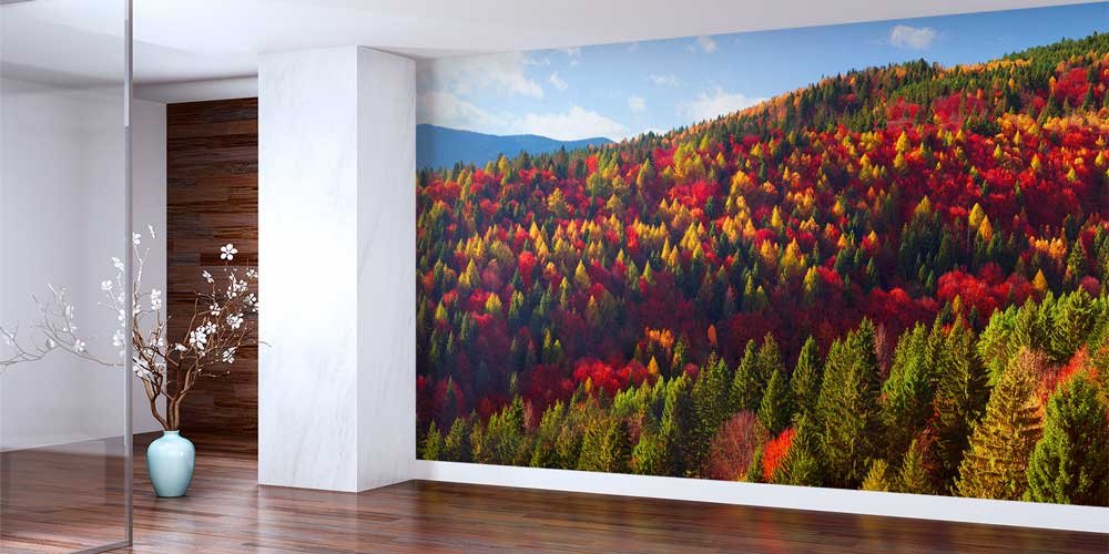 Sonbahar Ormanı Duvar Kağıdı 12947