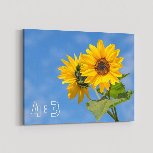 4:3 Yatay Kanvas Tablo BM-067
