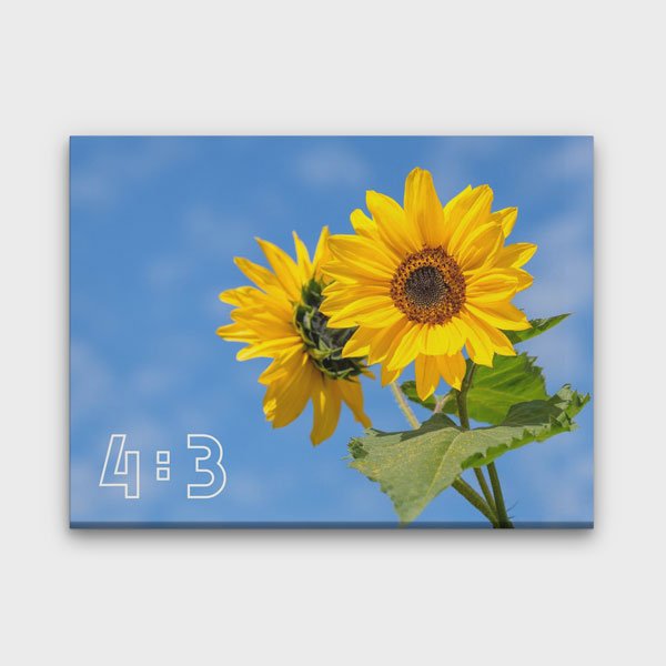 4:3 Yatay Kanvas Tablo BM-067