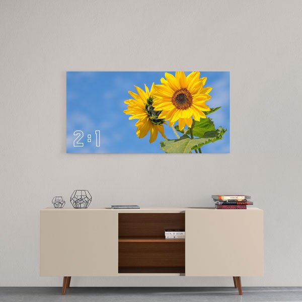 2:1 Yatay Kanvas Tablo BM-005