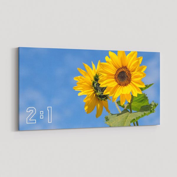 2:1 Yatay Kanvas Tablo BM-005