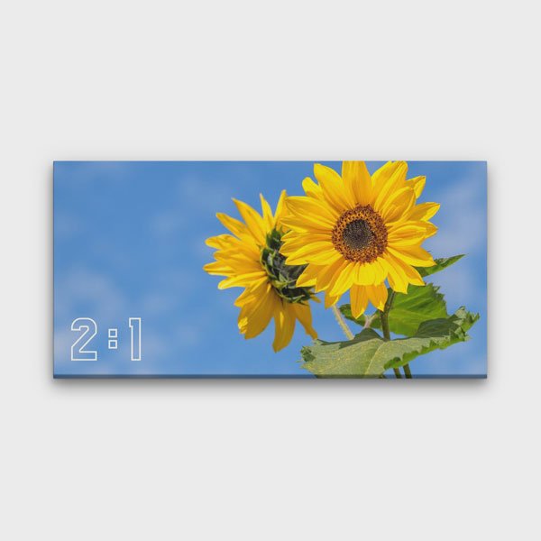 2:1 Yatay Kanvas Tablo BM-005