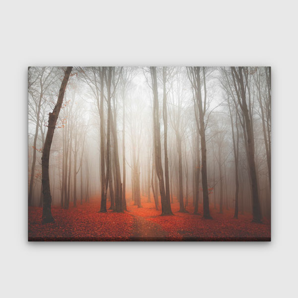 Sisli Ormanda Gün Işığı ve Sonbahar Yaprakları Kanvas Tablo 2178