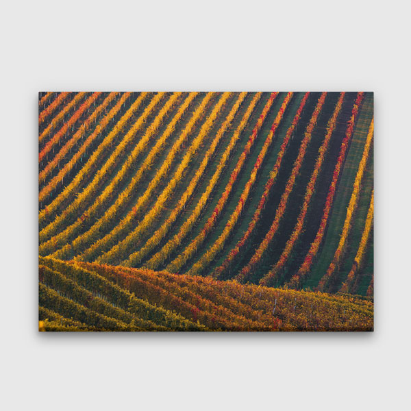 Renkli Tarla Sıraları Sonbahar Manzarası Kanvas Tablo 4682
