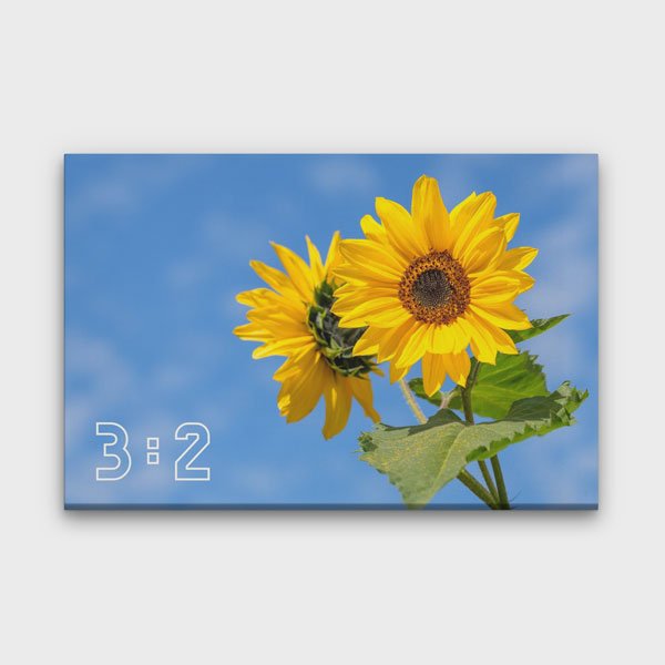 3:2 Yatay Kanvas Tablo BM-004