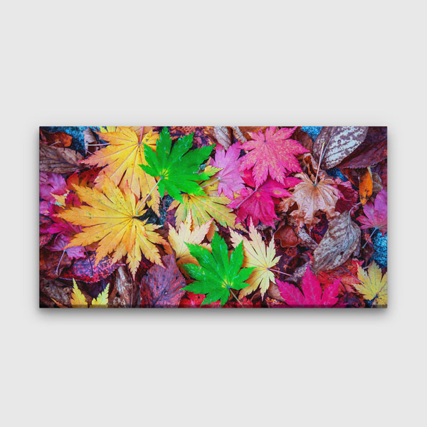 Renkli Sonbahar Yaprakları Temalı Kanvas Tablo 4239
