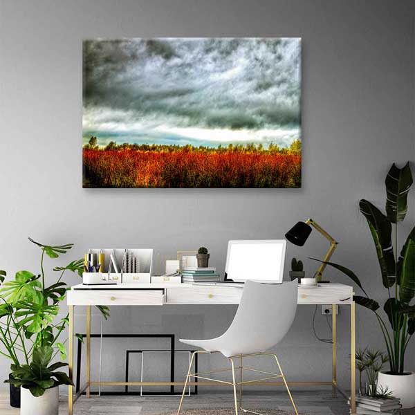 Dramatik Gökyüzü ve Sonbahar Tarlası Kanvas Tablo 4385