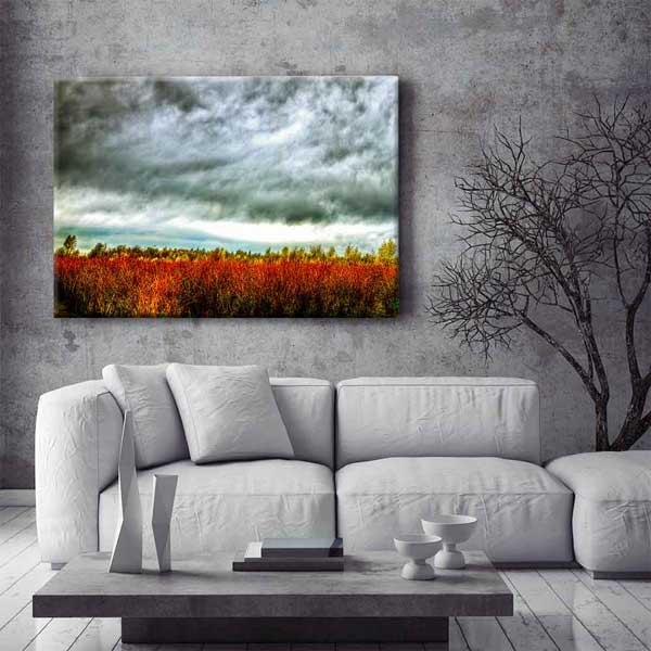 Dramatik Gökyüzü ve Sonbahar Tarlası Kanvas Tablo 4385