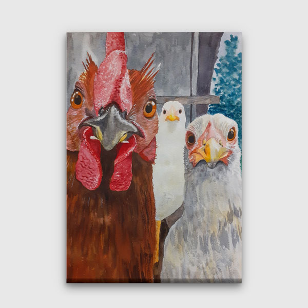 Üç Tavuk Portresi Yakın Plan Sanatsal Kanvas Tablo 4701