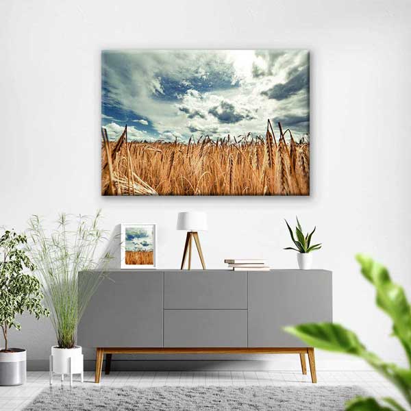 Buğday Tarlası ve Dramatik Gökyüzü Manzarası Kanvas Tablo 4678