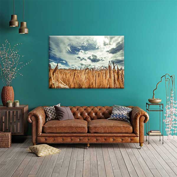 Buğday Tarlası ve Dramatik Gökyüzü Manzarası Kanvas Tablo 4678