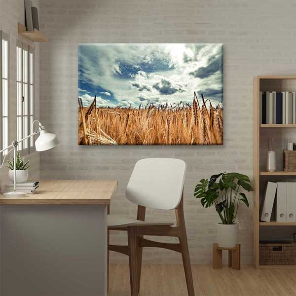 Buğday Tarlası ve Dramatik Gökyüzü Manzarası Kanvas Tablo 4678