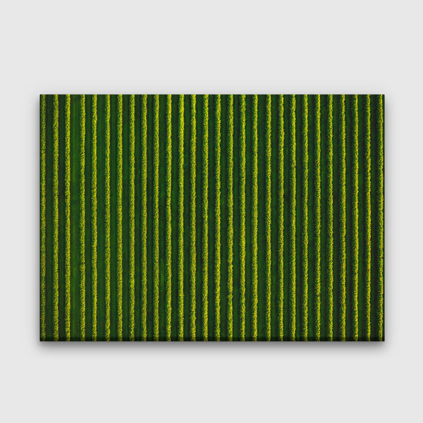 Yeşil Tarla Sıraları Manzarası Kanvas Tablo 4680