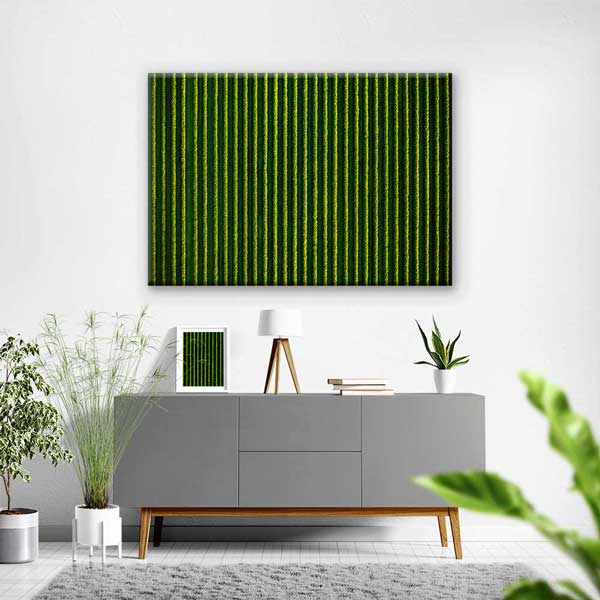 Yeşil Tarla Sıraları Manzarası Kanvas Tablo 4680