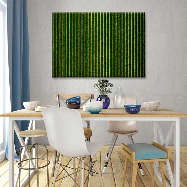 Yeşil Tarla Sıraları Manzarası Kanvas Tablo 4680