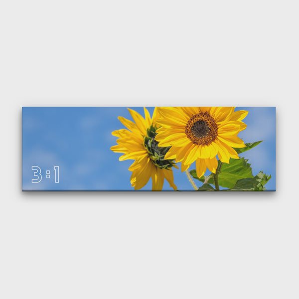 3:1 Yatay Kanvas Tablo BM-007