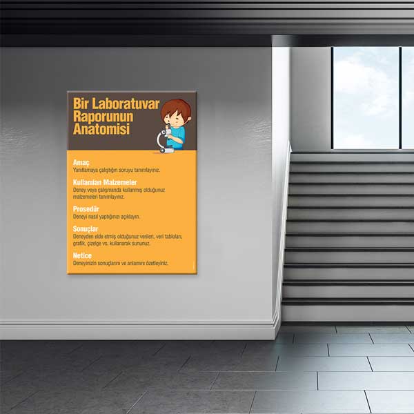 Laboratuvar Raporu Anatomisi Posteri - Bilimsel Çalışma Rehberi G-412