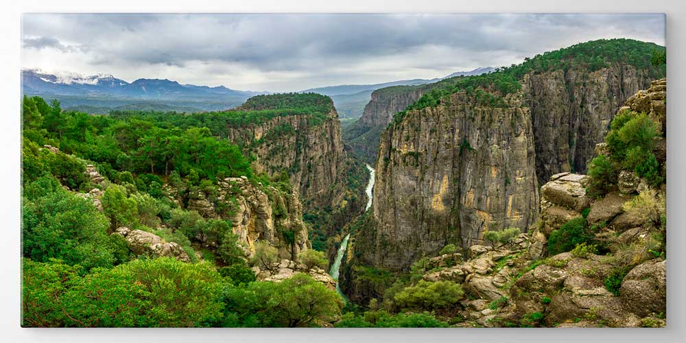 Derin Kanyon Vadisi ve Yeşil Doğa Manzarası Büyük Ebat Duvar Dekoru 11874