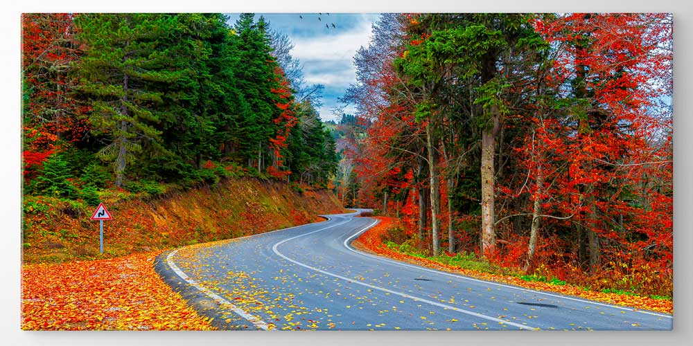 Sonbahar Orman Yolu Manzaralı Büyük Ebatlı Duvar Dekoru 11924