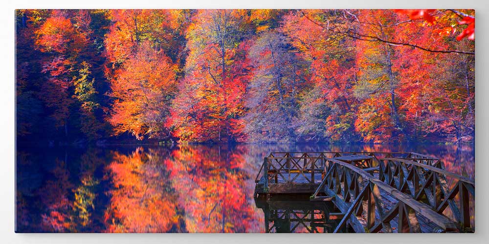 Göl Yansımalı Sonbahar Ormanı ve Ahşap İskele Panorama Duvar Dekoru 11945