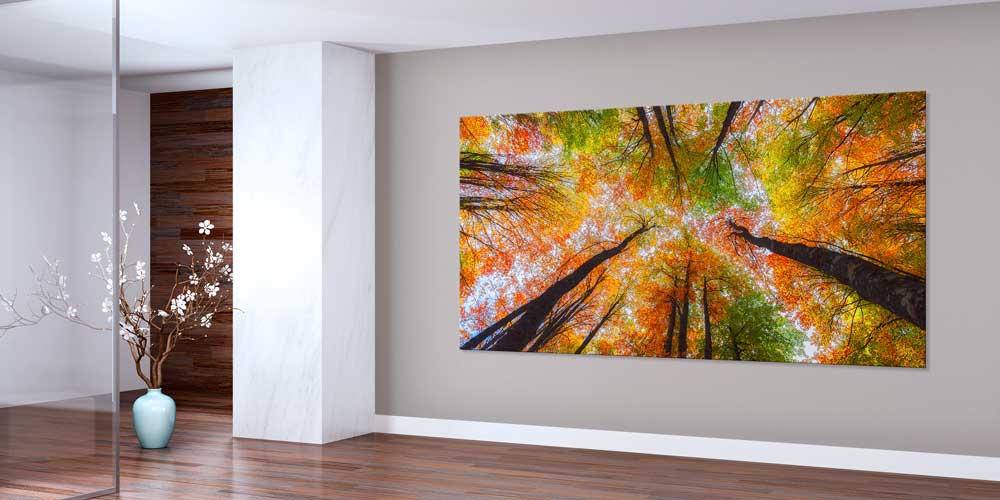 Sonbahar Ormanı Yukarıdan Bakış Panorama Büyük Ebatlı Duvar Dekoru 11946