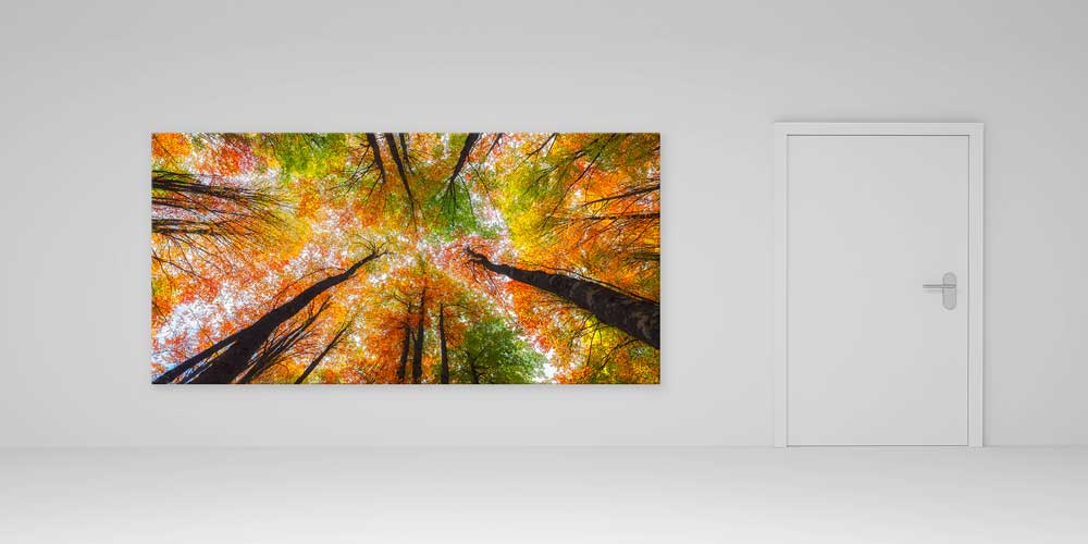 Sonbahar Ormanı Yukarıdan Bakış Panorama Büyük Ebatlı Duvar Dekoru 11946
