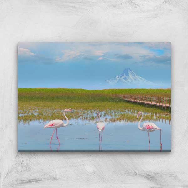 landscape-wall-art-12102-00 Flamingolar ve Sulak Alan Doğa Manzarası Kanvas Tablo 12102