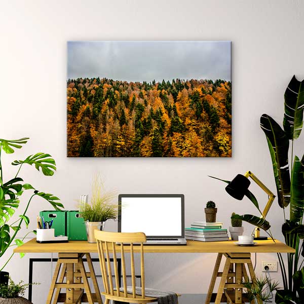 Sonbahar Ormanı Renk Geçişleri Doğa Kanvas Tablo 12113