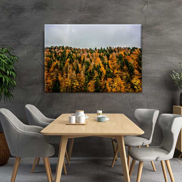 Sonbahar Ormanı Renk Geçişleri Doğa Kanvas Tablo 12113