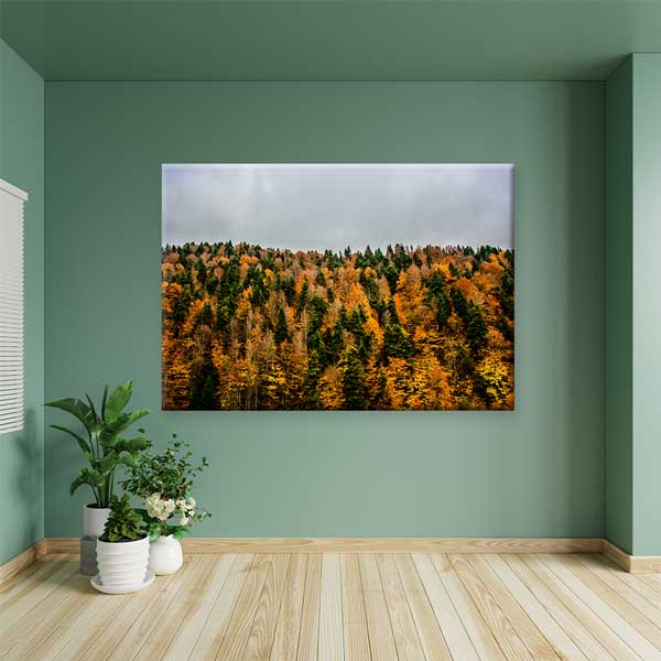 Sonbahar Ormanı Renk Geçişleri Doğa Kanvas Tablo 12113
