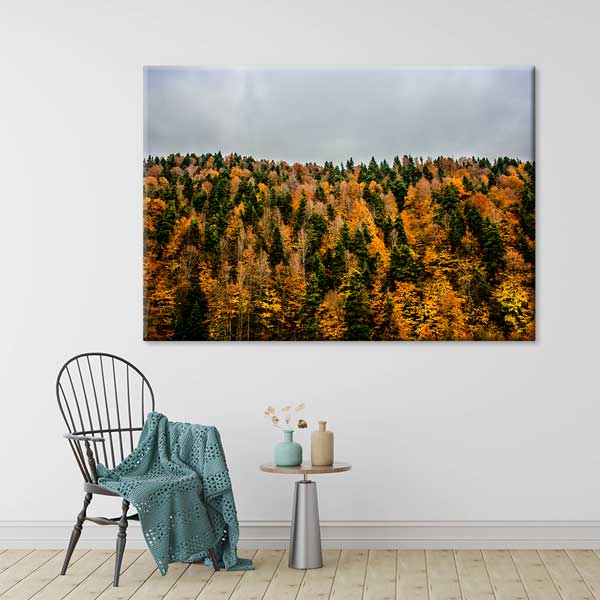 Sonbahar Ormanı Renk Geçişleri Doğa Kanvas Tablo 12113