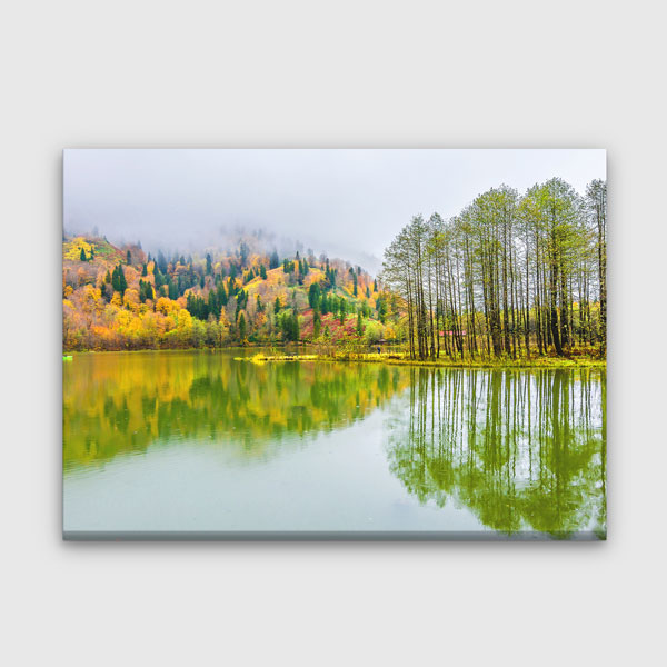 Ağaç Yansımaları ve Sakin Göl Doğa Kanvas Tablo 12114