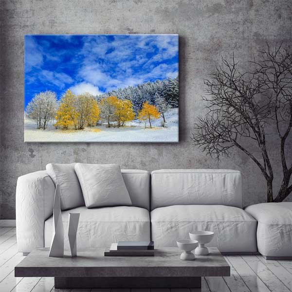 Karlı Zeminde Sarı Ağaçlar ve Mavi Gökyüzü Kanvas Tablo 12120