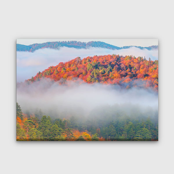 Sisler Arasında Sonbahar Ormanı Doğa Manzarası Kanvas Tablo 12124