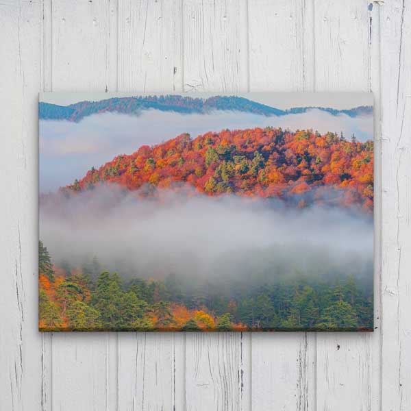 Sisler Arasında Sonbahar Ormanı Doğa Manzarası Kanvas Tablo 12124