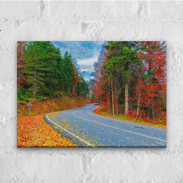 Sonbahar Orman Yolu Manzarası Kanvas Tablo 12079
