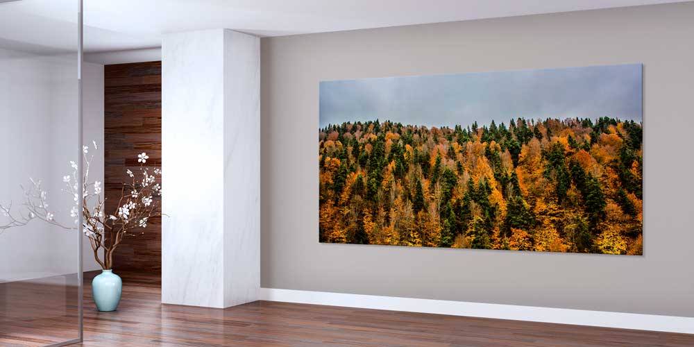 Sonbahar Ormanı Panorama Manzarası Büyük Ebatlı Duvar Dekoru 11943