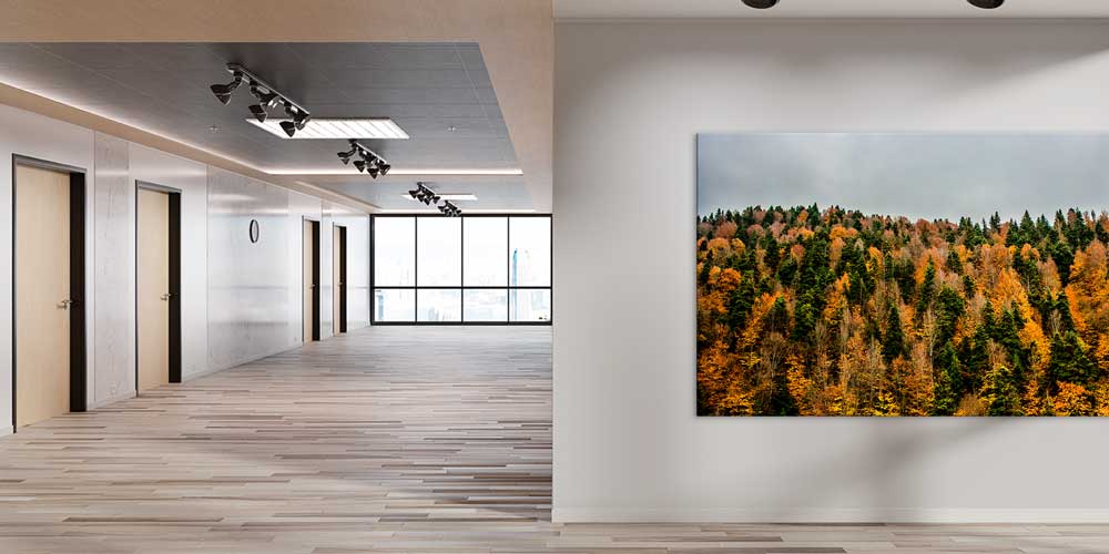 Sonbahar Ormanı Panorama Manzarası Büyük Ebatlı Duvar Dekoru 11943