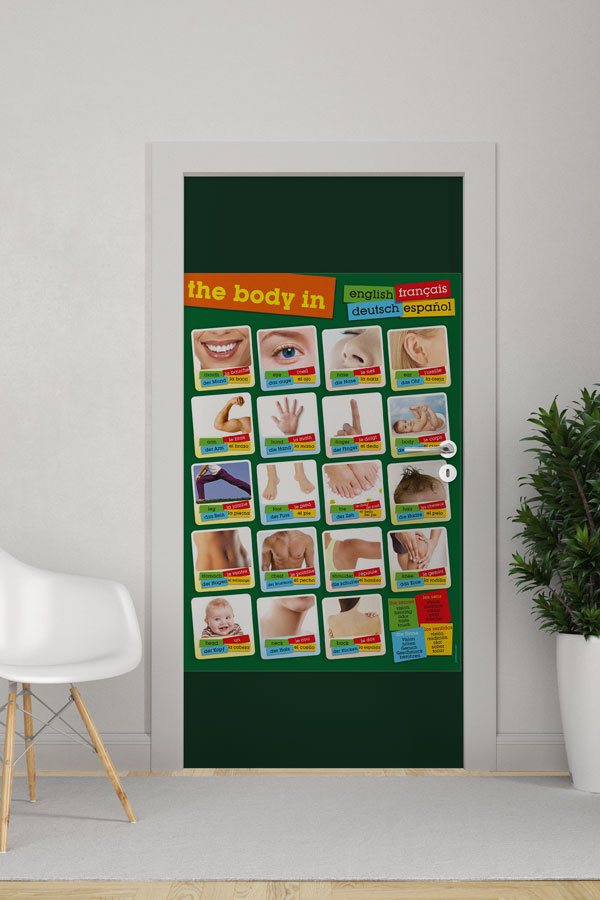 Vücut Bölümleri Kapı Giydirme - Çok Dilli 8684