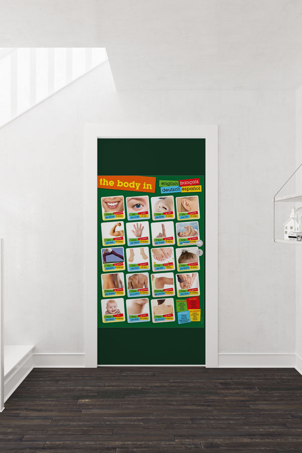 Vücut Bölümleri Kapı Giydirme - Çok Dilli 8684