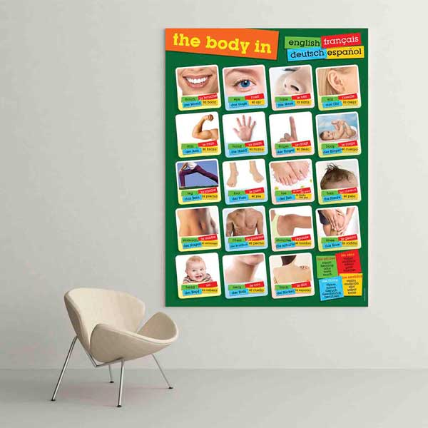 Çok Dilli Vücut Bölümleri Poster Tablo – B-528