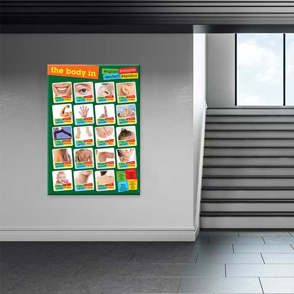 Çok Dilli Vücut Bölümleri Poster Tablo – B-528
