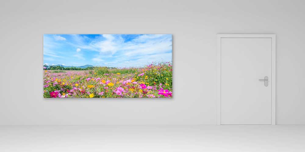 Büyük Ebat Çiçek Tarlası ve Açık Mavi Gökyüzü Duvar Dekoru 14046