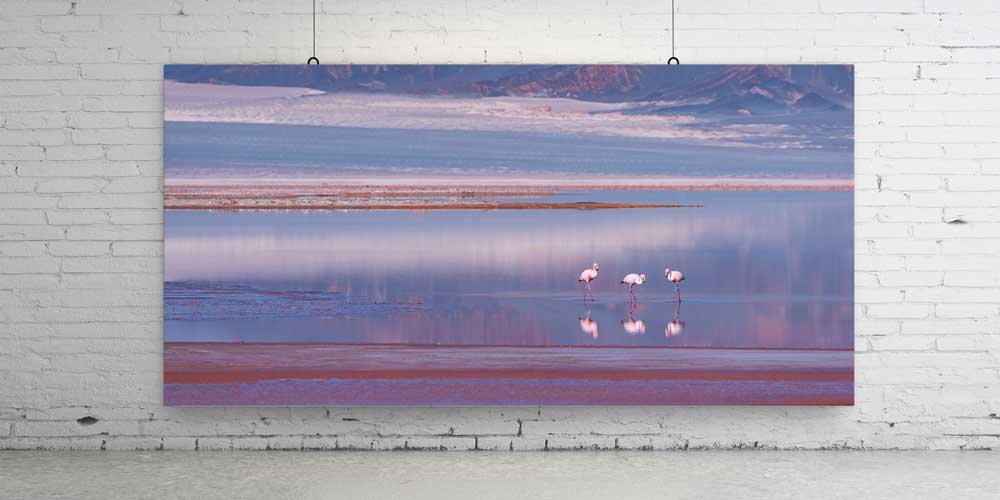 Flamingolu Tuz Gölü Manzarası Büyük Ebat Duvar Dekoru 14118