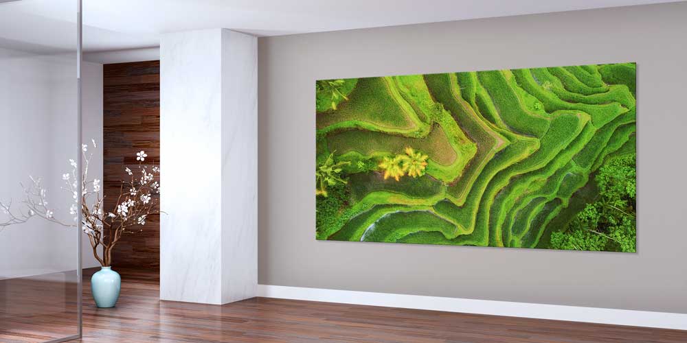 Teras Pirinç Tarlaları Hava Çekimi Doğa Duvar Dekoru 14061