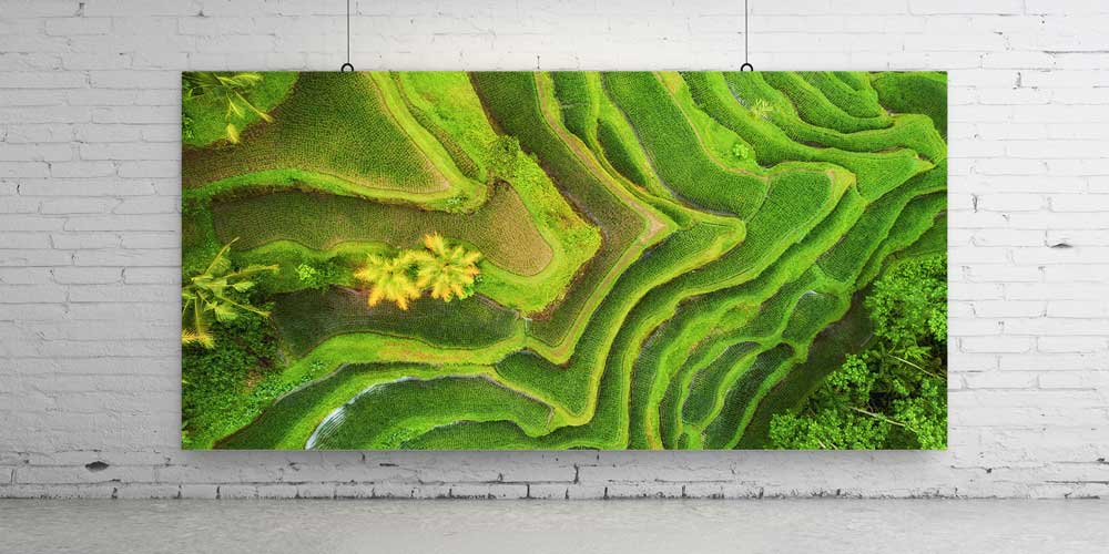 Teras Pirinç Tarlaları Hava Çekimi Doğa Duvar Dekoru 14061