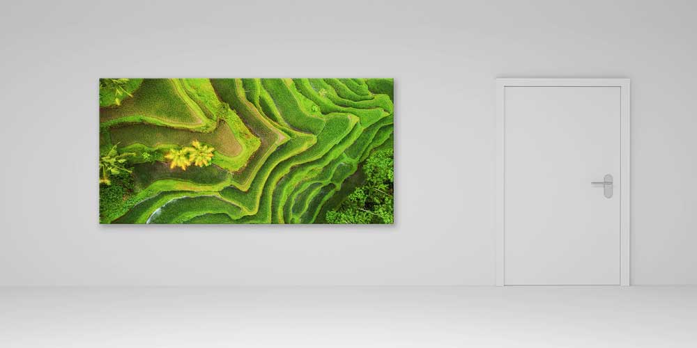 Teras Pirinç Tarlaları Hava Çekimi Doğa Duvar Dekoru 14061